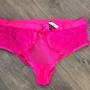 Torrid Panties